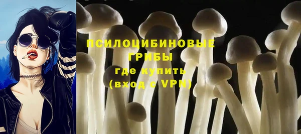 спиды Алзамай