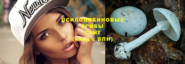 спиды Алзамай