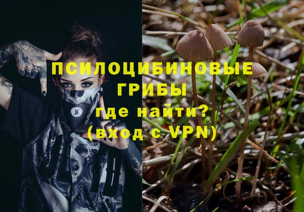 спиды Алзамай