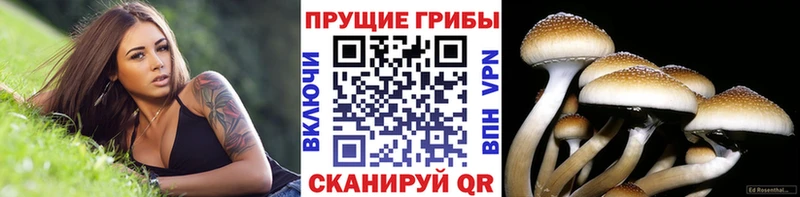 Галлюциногенные грибы мухоморы  Купить  Касимов 